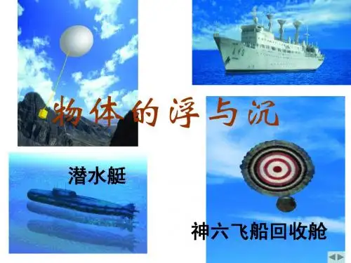 物理：一、物体的浮与沉课件(苏科版八年级)