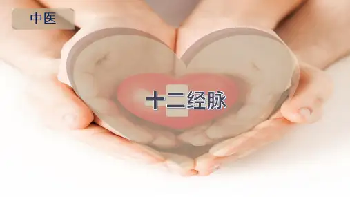十 二 经 脉