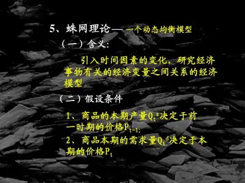 蛛网模型