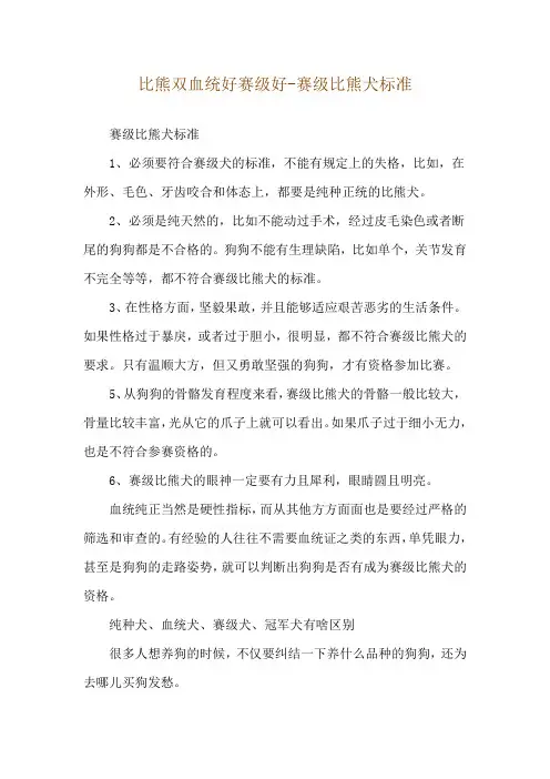 比熊双血统好赛级好-赛级比熊犬标准