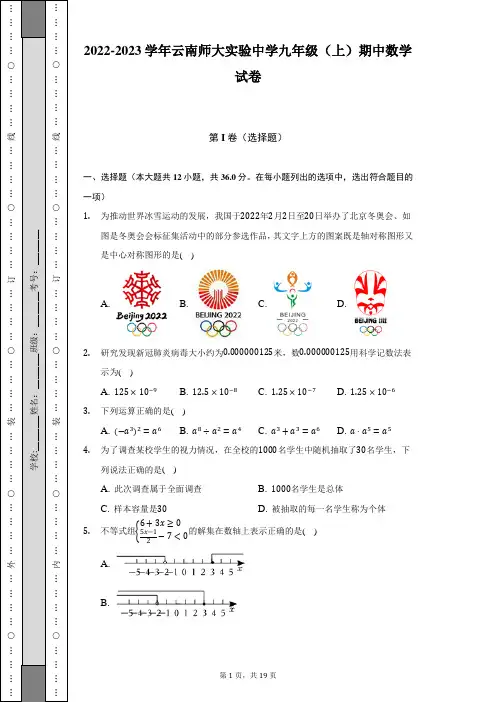 2022-2023学年云南师大实验中学九年级(上)期中数学试卷(含解析)