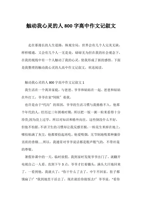 (记述文)触动我心灵的人800字高中作文记叙文