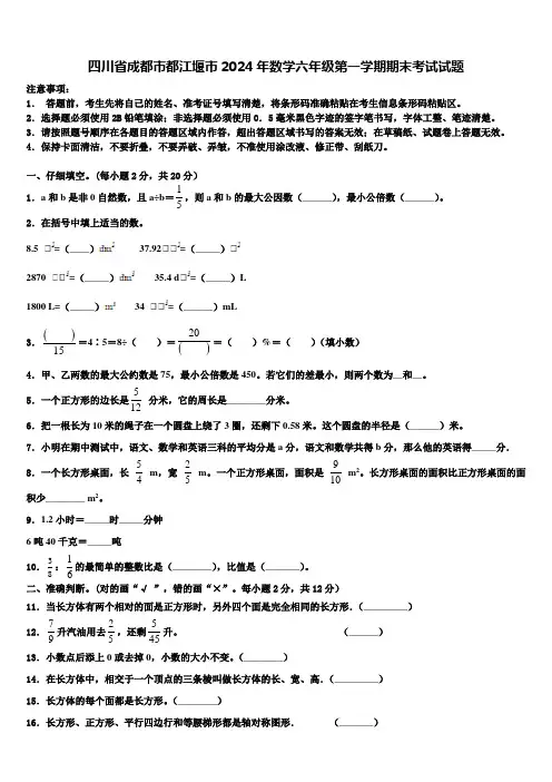 四川省成都市都江堰市2024年数学六年级第一学期期末考试试题含解析