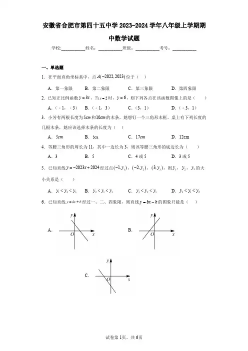 安徽省合肥市第四十五中学2023-2024学年八年级上学期期中数学试题