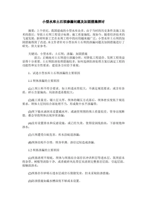 小型水库土石坝渗漏问题及加固措施探讨