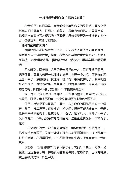 一棵神奇的树作文（精选26篇）