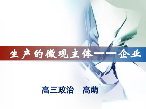 生产的微观主体——企业(幻灯片)