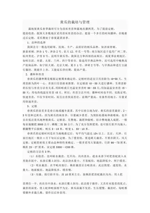 黄瓜的栽培与管理