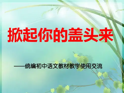 如何上好语文课 PPT课件 图文