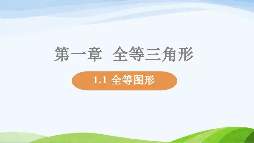 苏教版八年级上册数学全册教学课件(2021年10月修订)