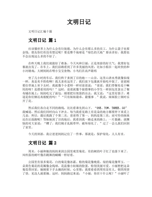 文明日记-专业文档!