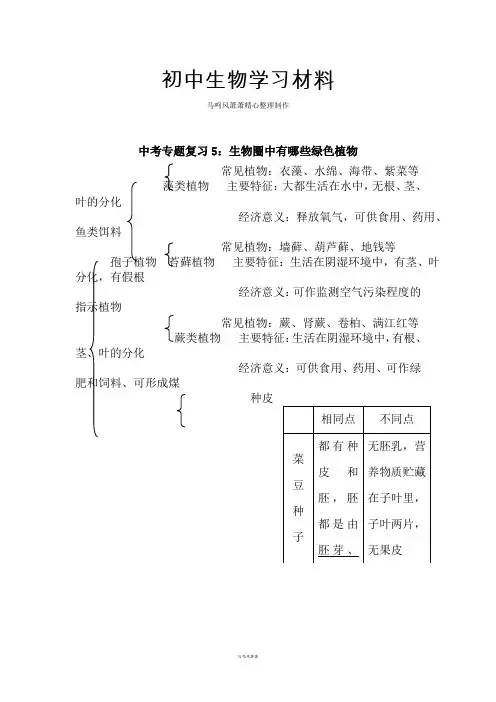 中考专题复习5：生物圈中有哪些绿色植物