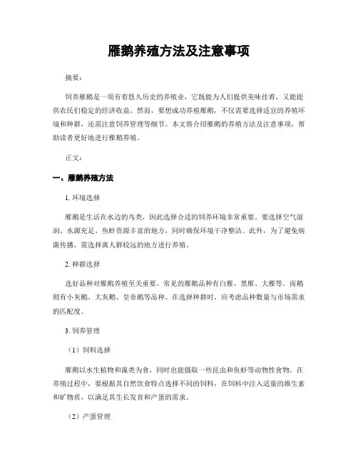 雁鹅养殖方法及注意事项