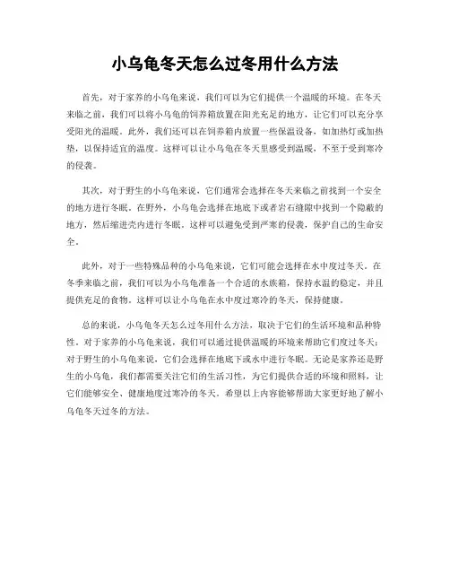 小乌龟冬天怎么过冬用什么方法