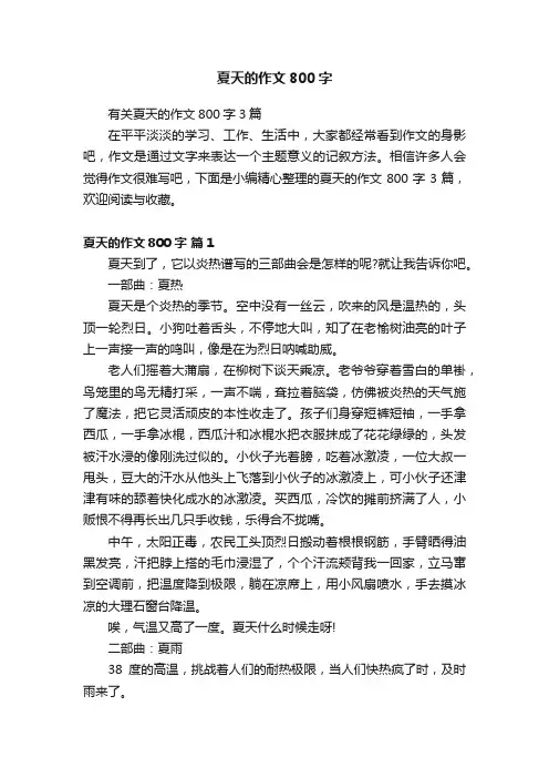 夏天的作文800字