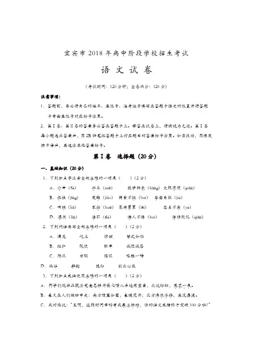 四川省宜宾市2018年中考语文试卷