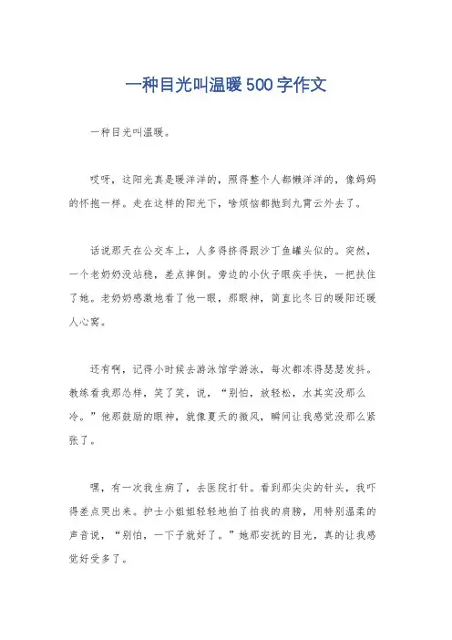 一种目光叫温暖500字作文