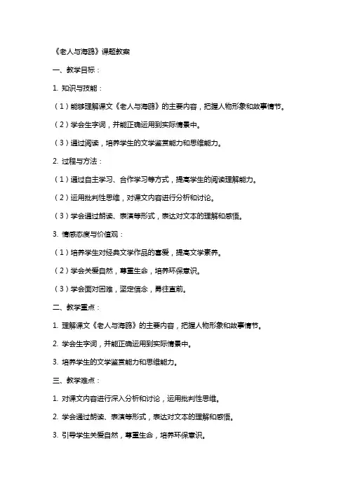 《老人与海鸥》课题教案