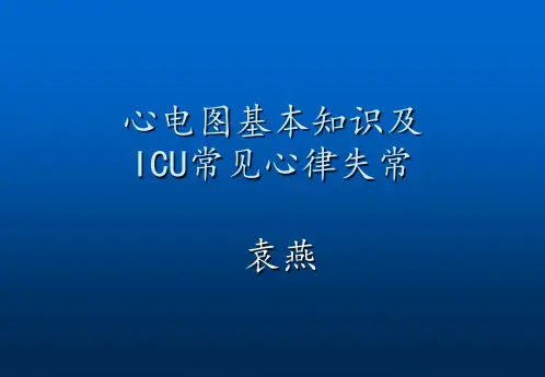 心电图基础知识新版