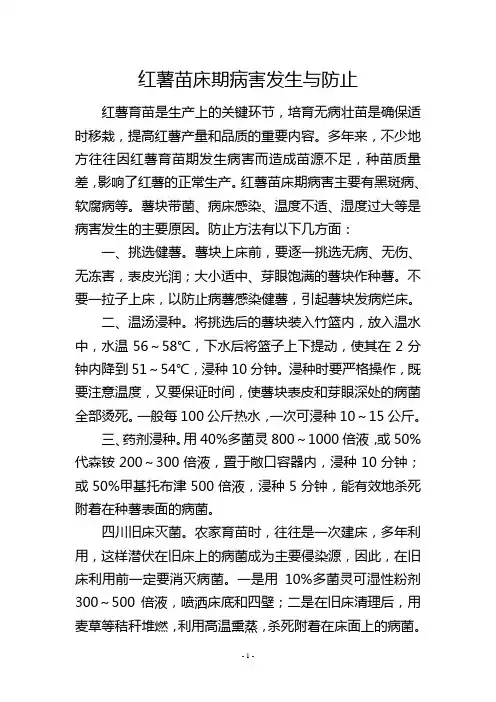 红薯苗床期病害发生与防止