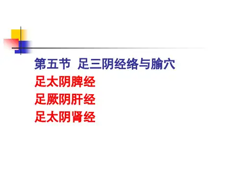 中医学教学课件：第五节 足三阴经络与腧穴