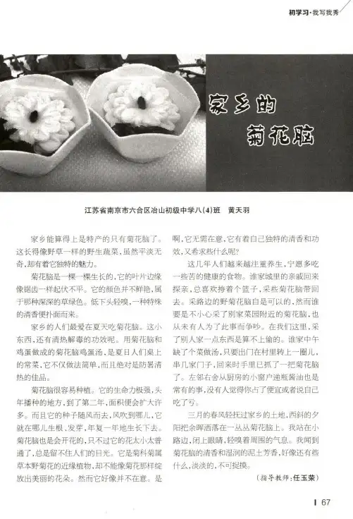 家乡的菊花脑