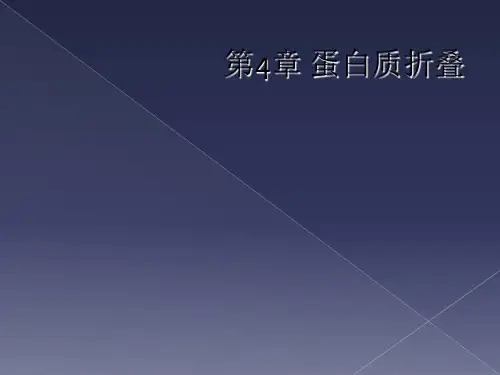 第4章 蛋白质折叠