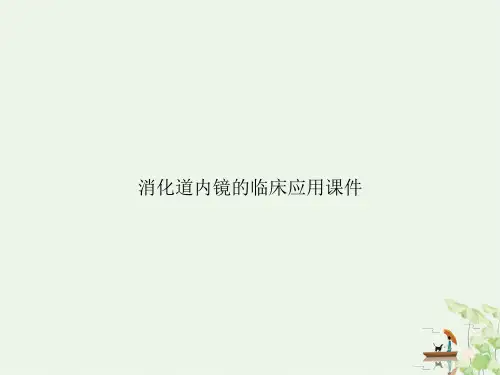 消化道内镜的临床应用ppt课件