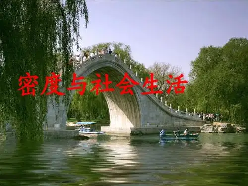 密度与社会生活