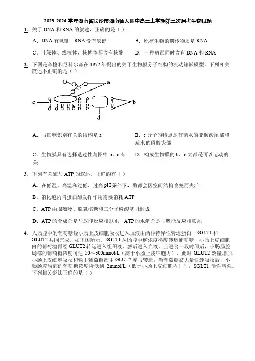 2023-2024学年湖南省长沙市湖南师大附中高三上学期第三次月考生物试题