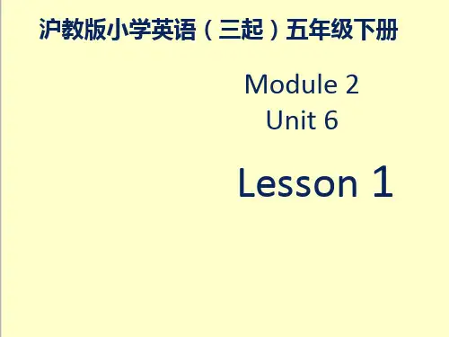 最新英语沪教版小学五年级下册M2U6《Holidays》优质课课件第一课时.ppt