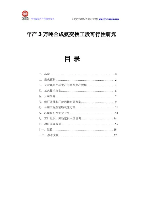 年产3万吨合成氨变换工段可行性研究