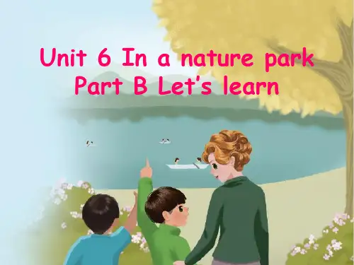 人教版PEP英语五年级上册Unit6 In a nature park B lets learn课件等