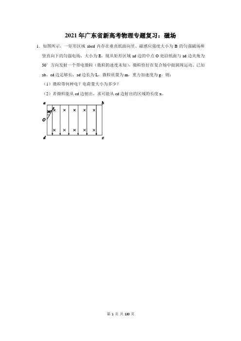 2021年广东省新高考物理专题复习：磁场(含答案解析)