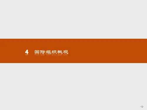 2018版高中政治人教版(选修三)1.4 国际组织概观