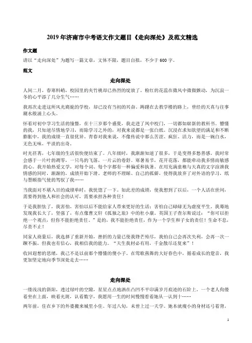 2019年济南市中考语文作文题目《走向深处》及范文精选