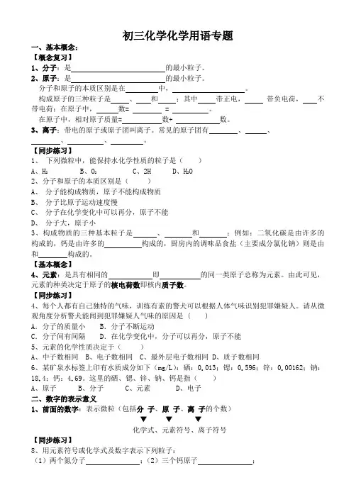 初三化学化学用语专题复习