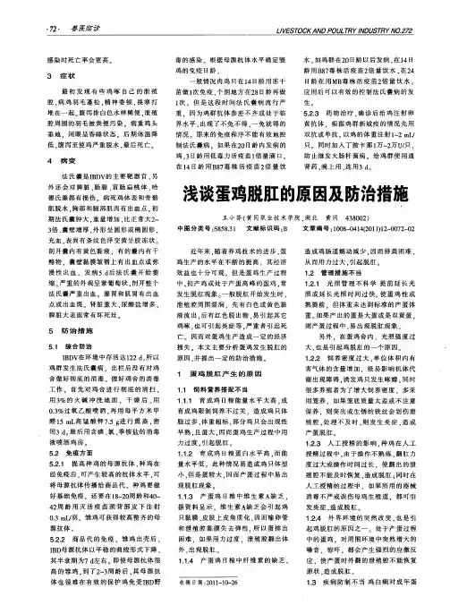 浅谈蛋鸡脱肛的原因及防治措施
