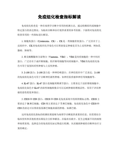 免疫组化检查指标解读