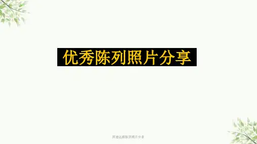阿迪达斯陈列照片分享课件