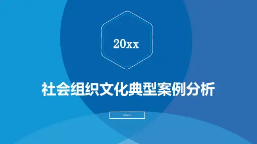 社会组织文化典型案例分析