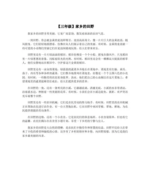 【三年级】家乡的田野
