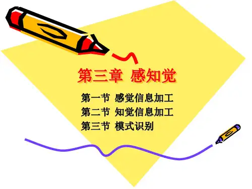认知心理学第三章 感知觉