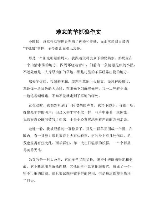 难忘的羊抓狼作文