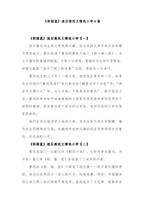 《狗猫鼠》读后感范文精选小学6篇