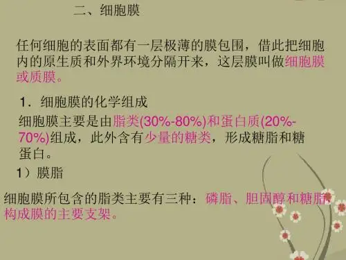 高中生物 细胞膜课件