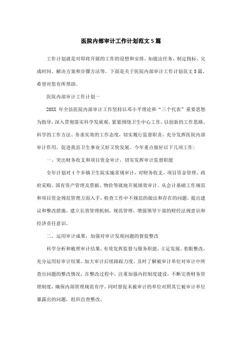 医院内部审计工作计划范文5篇