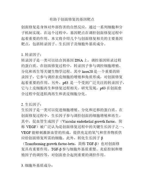 有助于创面修复的基因靶点