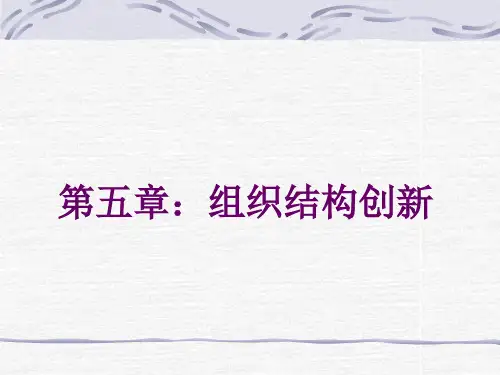 组织结构创新讲义.pptx