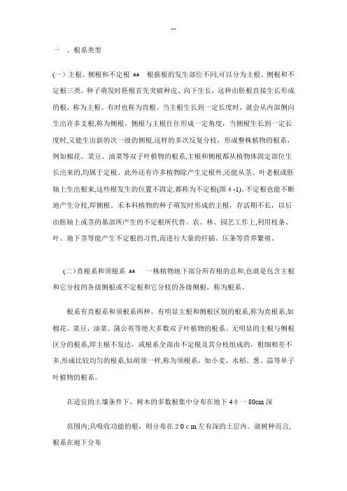 植物根系类型及应用